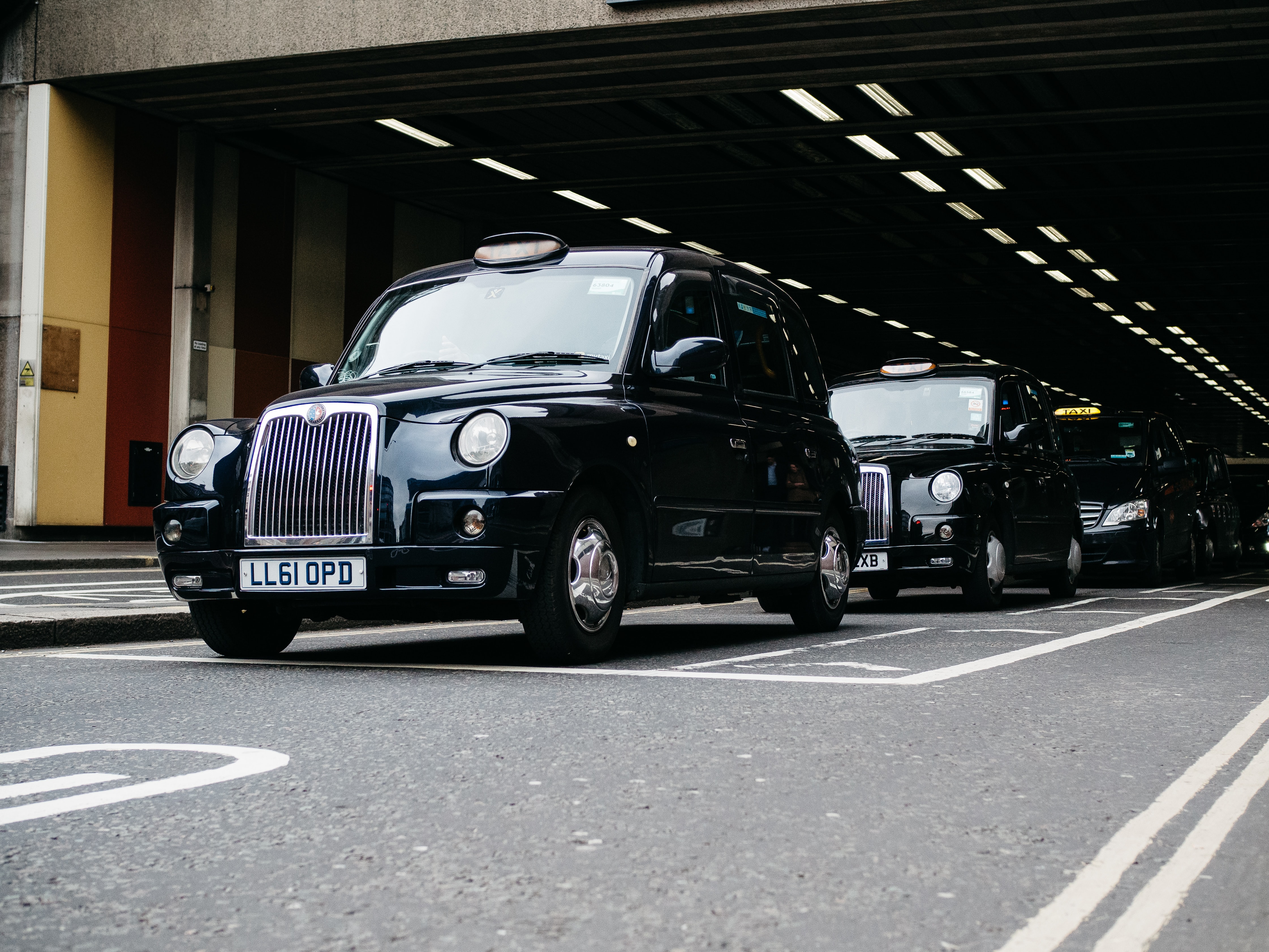 do london black cabs take dogs